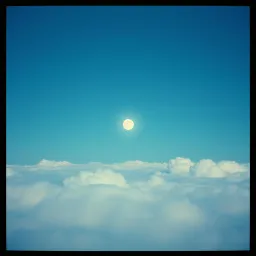 Whispers of the night