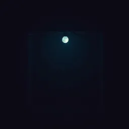 Fyntenals dream