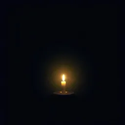 Together in the Shadows