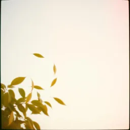 Whispers on the Wind