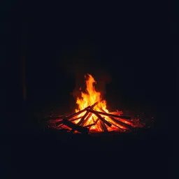 Wildfire Heart