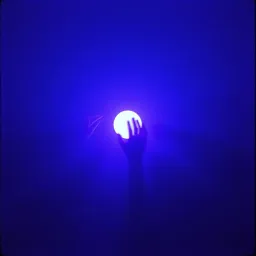 Steal the Light