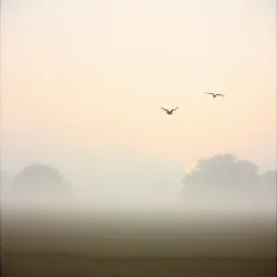 Я не люблю холод