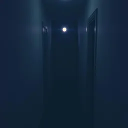 Reverse symmetry