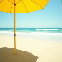 Summertime turnout