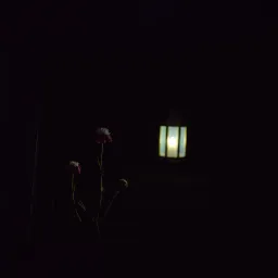Funeral for a Love