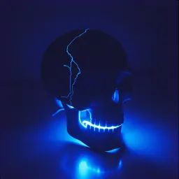 Living In My Skull