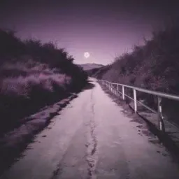 War In My Head