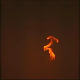 Wildfire 