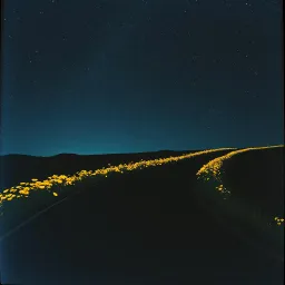 Winding rural roads