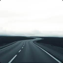 Into the gray