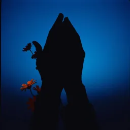 Romantic side by side