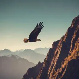Hero In the Sky