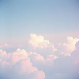 La vie en rose