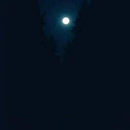 Light The Way
