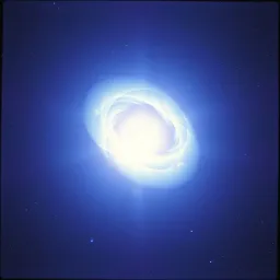 The Flare