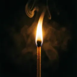 Set the World on Fire
