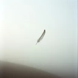 Weightless
