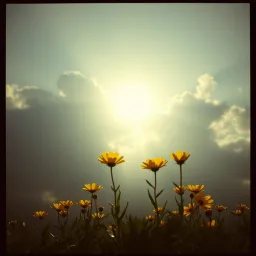 Bright Horizons