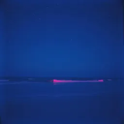Au Bord de Mer (Disco Fever)*