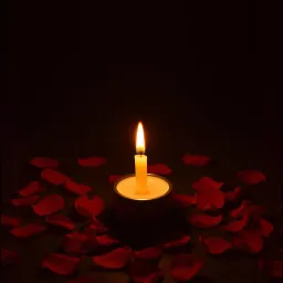 Yüreğimde bir yangın