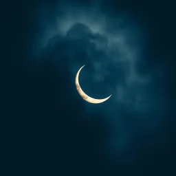 Shadows in the Silence