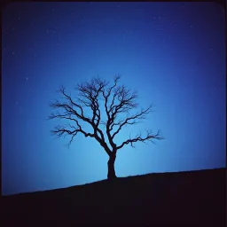 Who carries me to the night