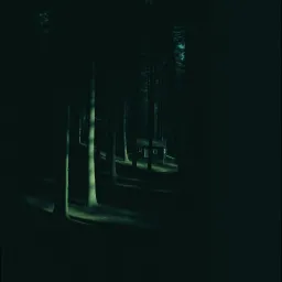Shadows of the Cabin