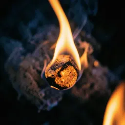 HEART IN THE FIRE