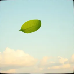 Raggea
