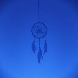 Chasing Shadows of a Dream