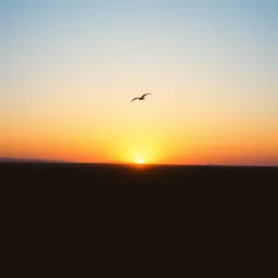 The price of being free