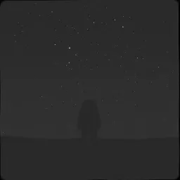 Shadows in Her Silence