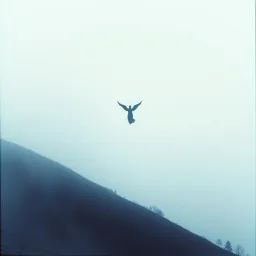 Він і вона