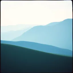 Digital Compassion