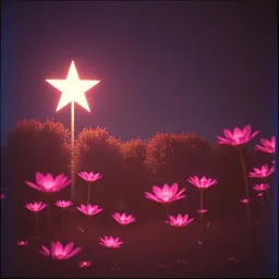 Glow, My Star