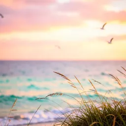 Im Herzen schon am Meer