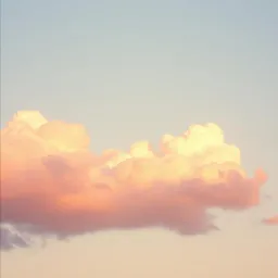 Bajo el mismo cielo
