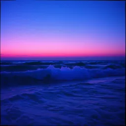 Dreams
