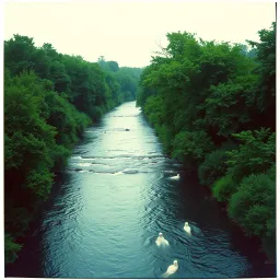 The river that heals