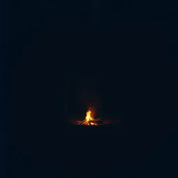 The Fire Within