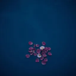 Bleeding Out