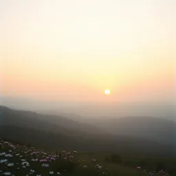 Virginia