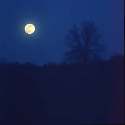 Late Night Echoes