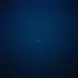 Lost in the Deep