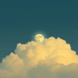Moonlight in Her Eyes