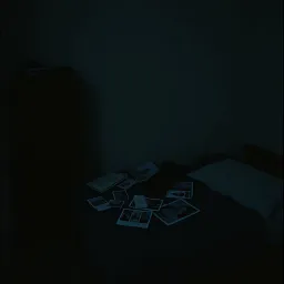 L'amour que j'aurais jamais