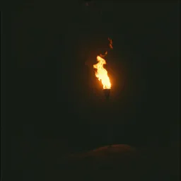 Pejuang teraniya