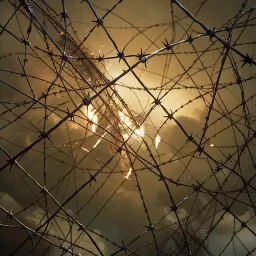 Stuck In Your Web