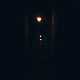 Purge Night